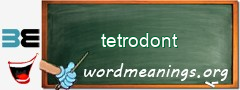 WordMeaning blackboard for tetrodont
